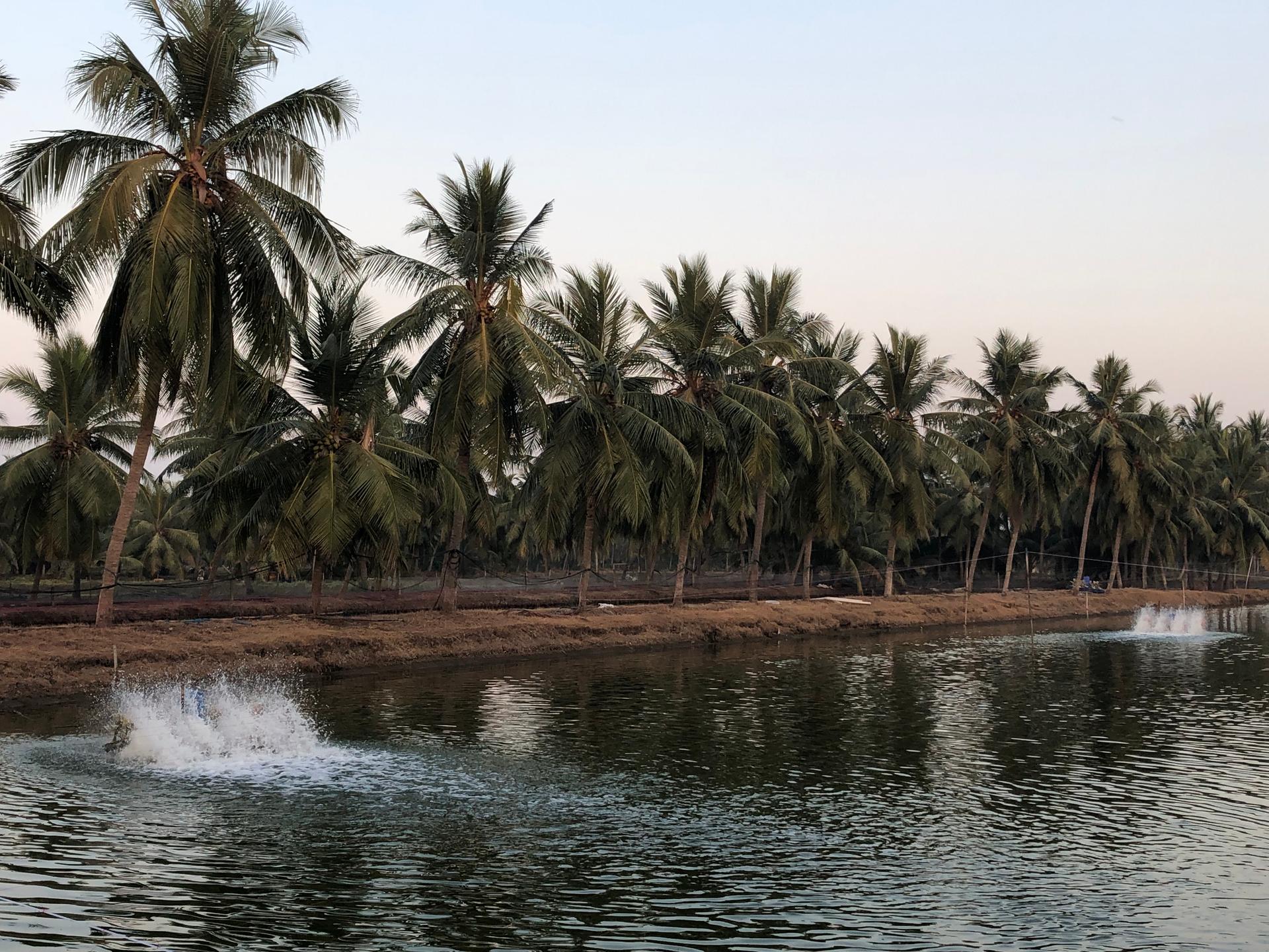 Roadmap for Landscape-Level Improvements in Aquaculture published
