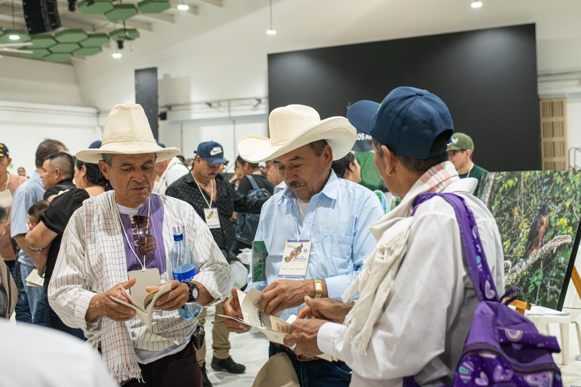 Hylea Pact: achievements, challenges and opportunities 2035