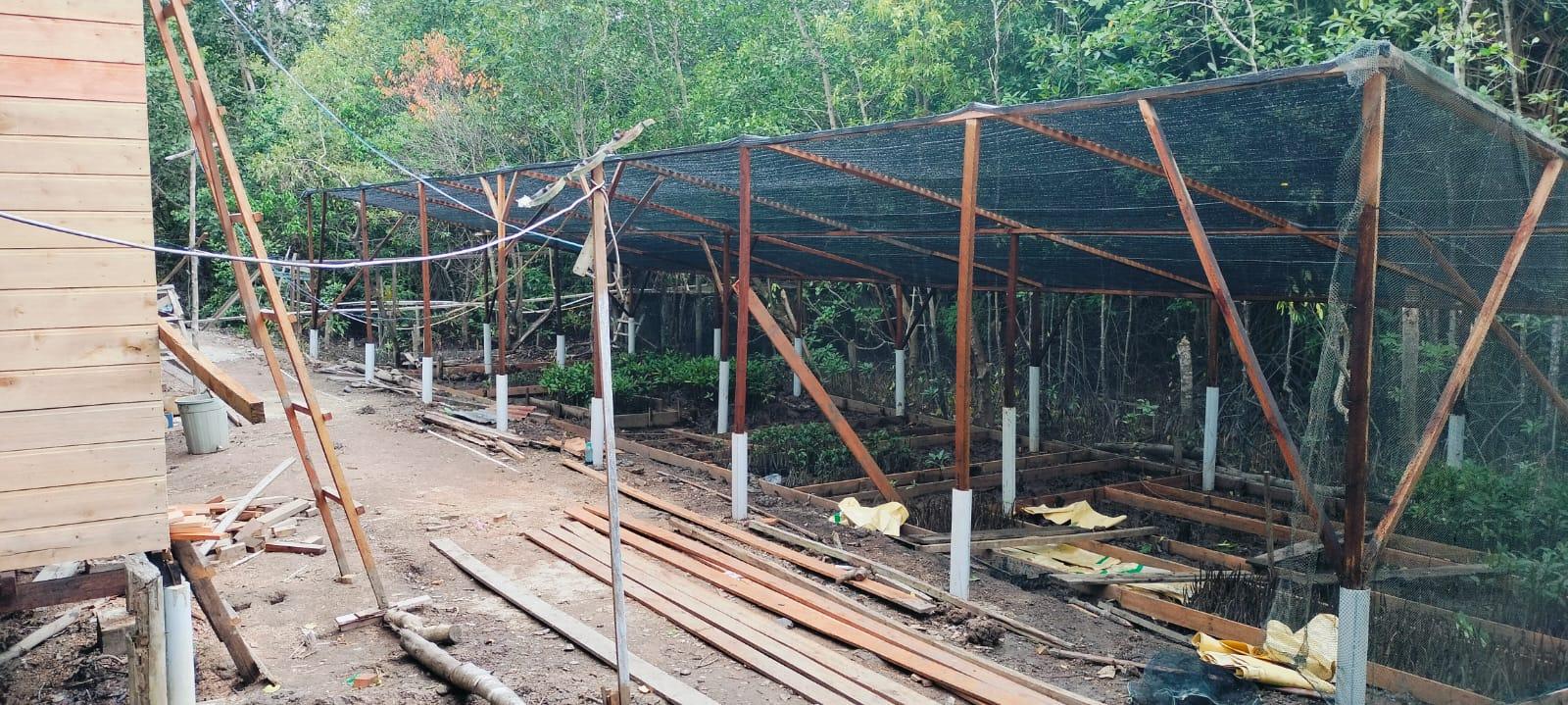 Siak Pelalawan Landscape Programme